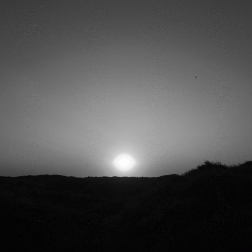 Nortfalke : Nieuwe Inzichten Vanuit de Cosmos Verkegen